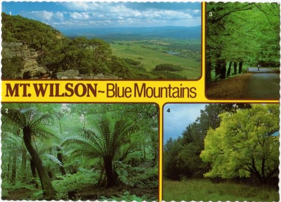 More Recent Post Cards