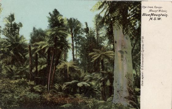 More Recent Post Cards