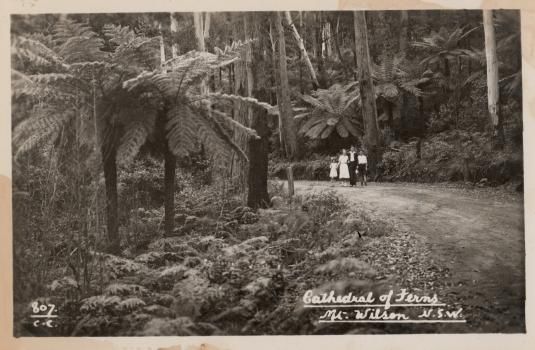 The Cathedral of Ferns
