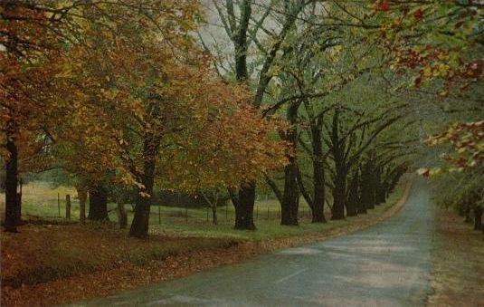 More Recent Post Cards