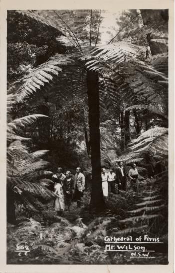 The Cathedral of Ferns