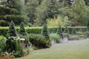 Plant Nurseries & Gardens