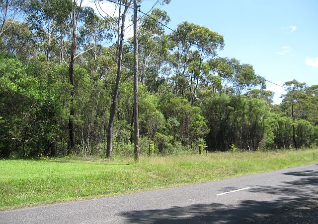 Marcus Clark Reserve from the Avenue